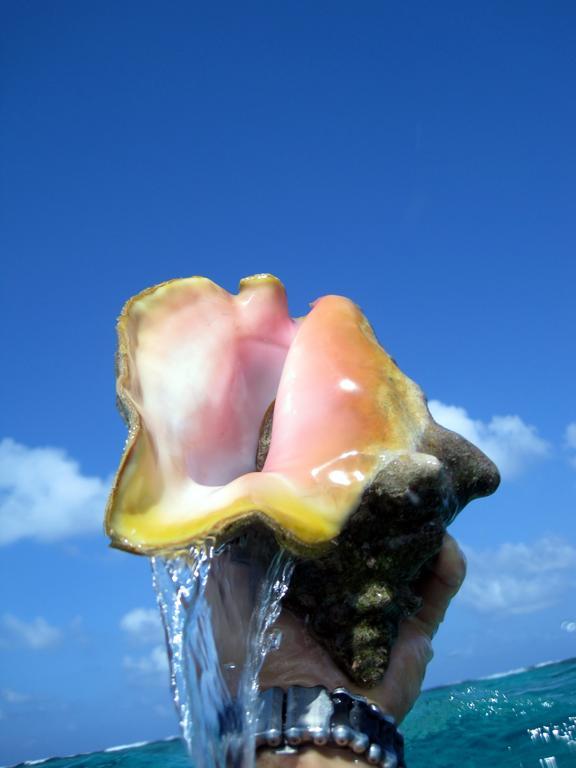 Caye Reef Condos キー・カーカー エクステリア 写真